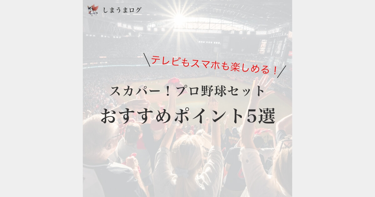 テレビもスマホも楽しめる！スカパー！プロ野球セットおすすめポイント5選